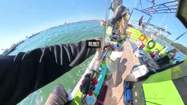 쭈꾸미 배낚시 처음 가는 분께, 출항 전후 체크 7가지
