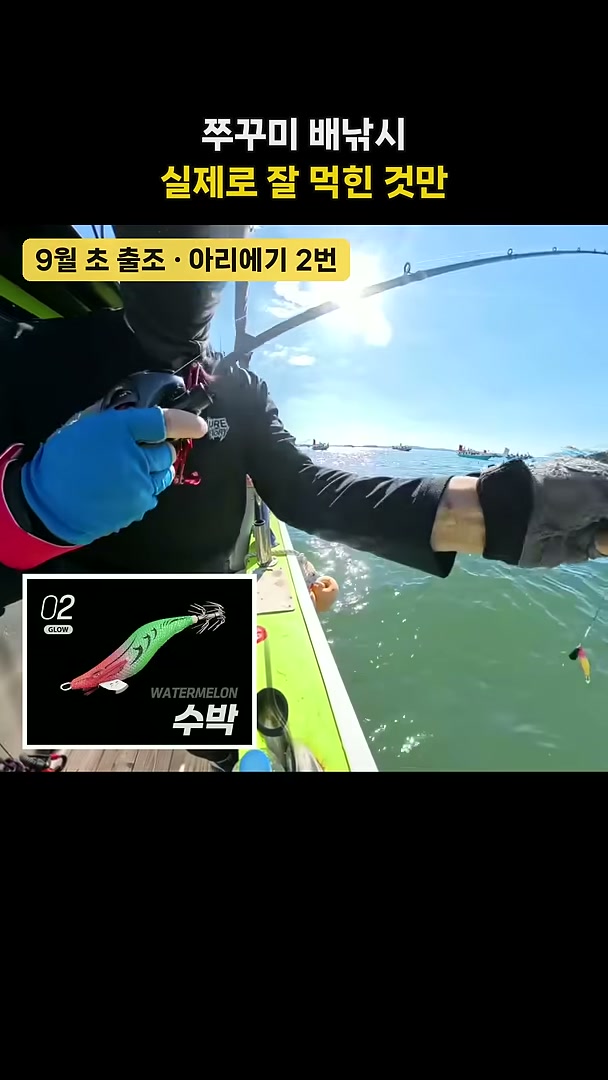 이날 실제로 쓴 에기·채비를 펼쳐 놓은 매장 사진